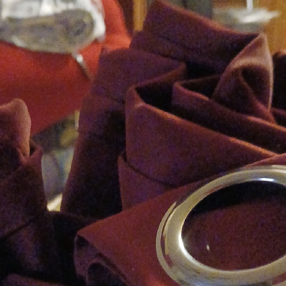 Burgundy Curtain with Silver Ring
